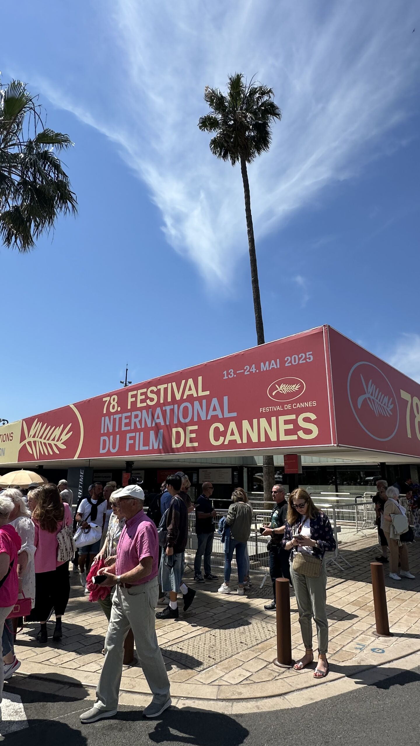 1.1 festival du film