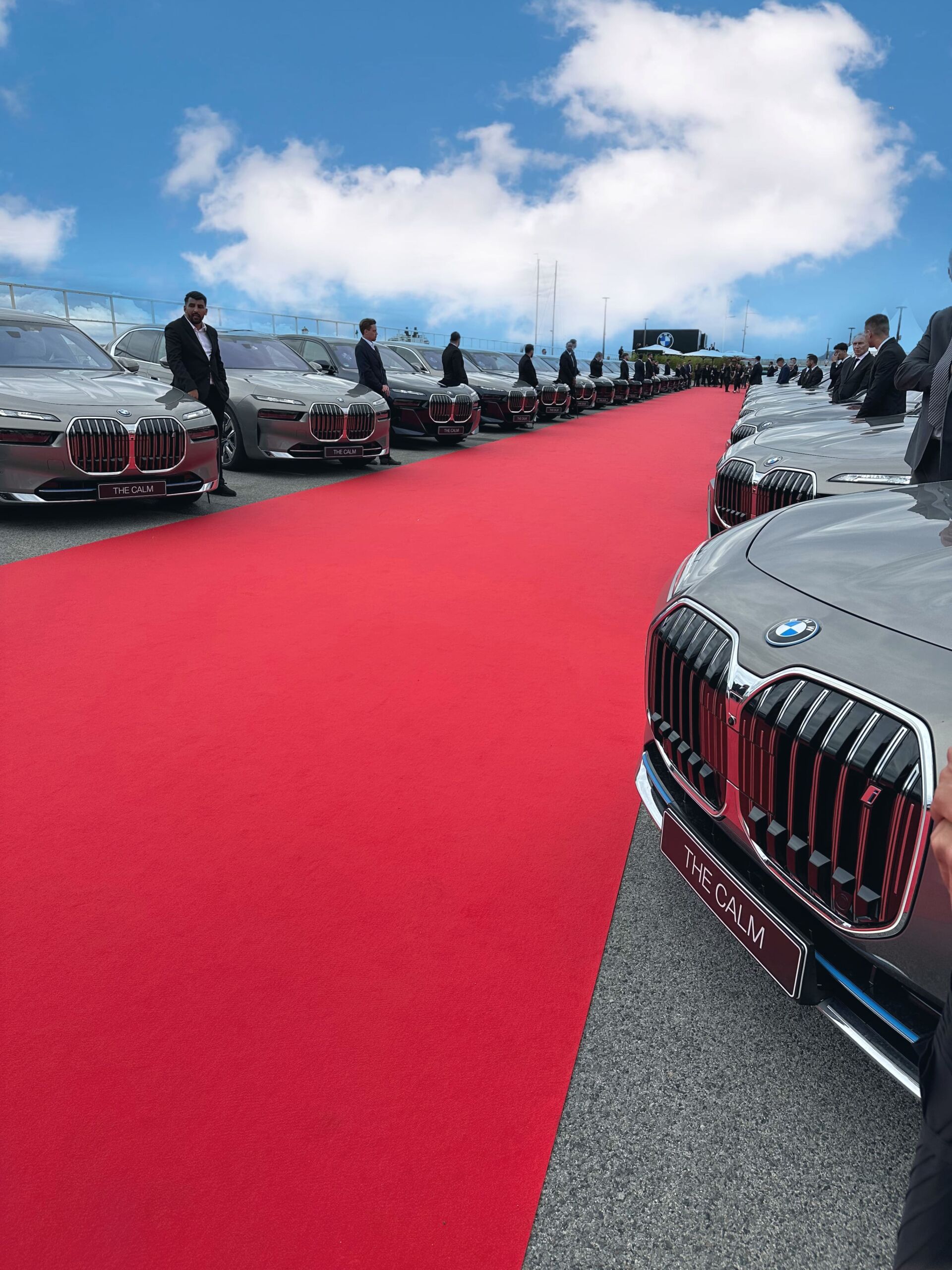 25 chauffeur de maître
